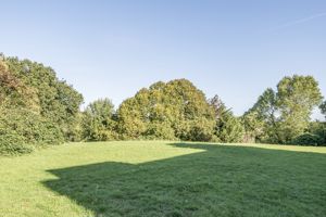 Photo 19- click for photo gallery